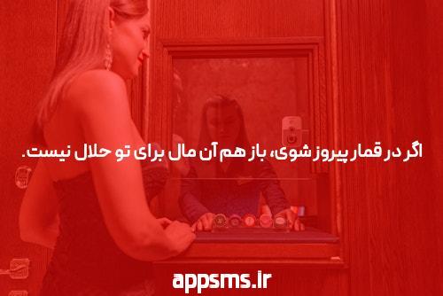 همه قسمت های دختر کفشدوزکی